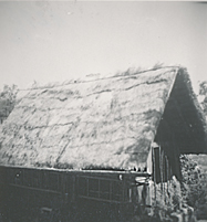 eika image